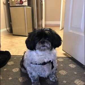 Meet your Posher, Mindy